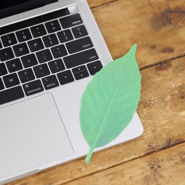 h concept 葉子溫度計 5入(日本 色溫變化 感受四季 日本文創 居家貼式 送禮推薦 聖誕 交換禮物 )