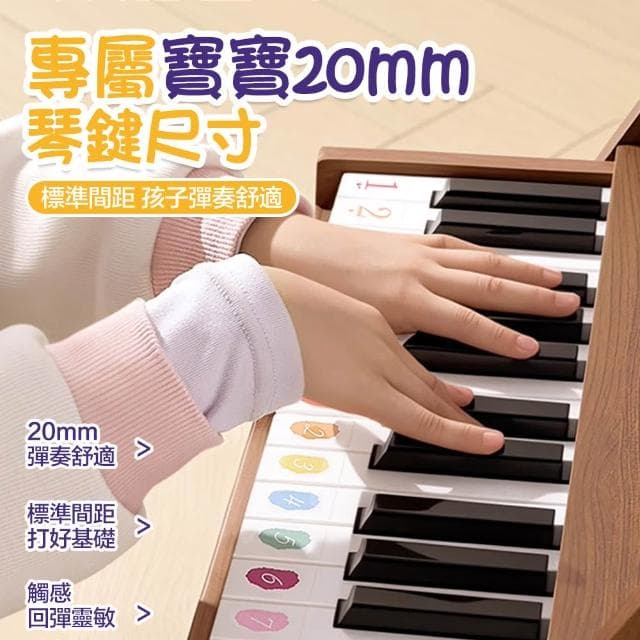 【LEMU 樂牧】兒童電子琴 25鍵兒童鋼琴 鋼琴玩具 兒童節禮物 仿真鋼琴 音樂玩具 音樂啟蒙 生日禮物 樂器玩具 兒童鋼琴
