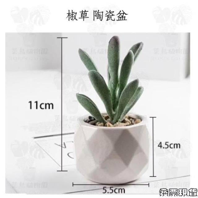 沐晨植物園|仿真植物 仿真多肉 盆栽裝飾 小盆栽假植物 假盆栽 辦公室盆栽 迷你盆栽 仿真盆栽 仿真植物盆栽 居家裝飾