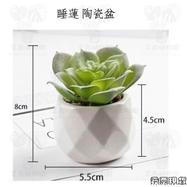 沐晨植物園|仿真植物 仿真多肉 盆栽裝飾 小盆栽假植物 假盆栽 辦公室盆栽 迷你盆栽 仿真盆栽 仿真植物盆栽 居家裝飾