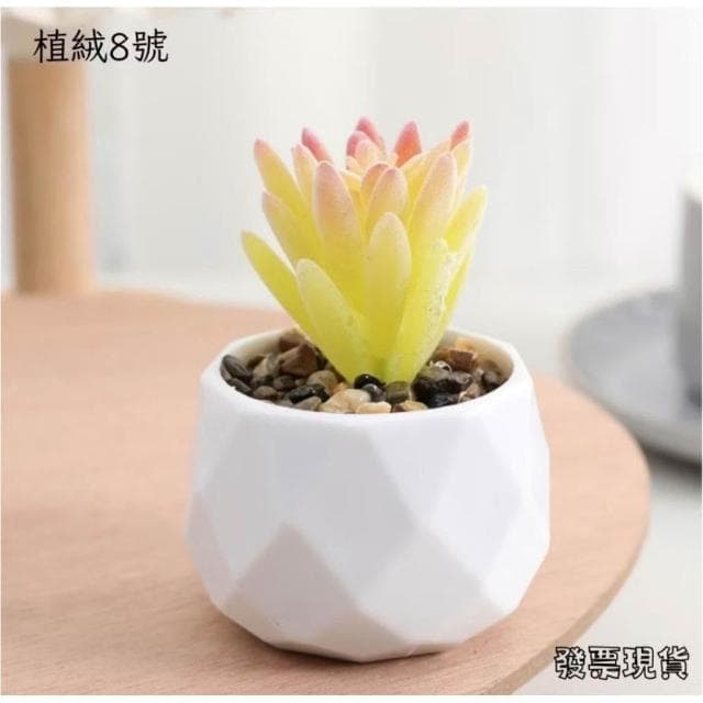 沐晨植物園|仿真植物 仿真多肉 盆栽裝飾 小盆栽假植物 假盆栽 辦公室盆栽 迷你盆栽 仿真盆栽 仿真植物盆栽 居家裝飾