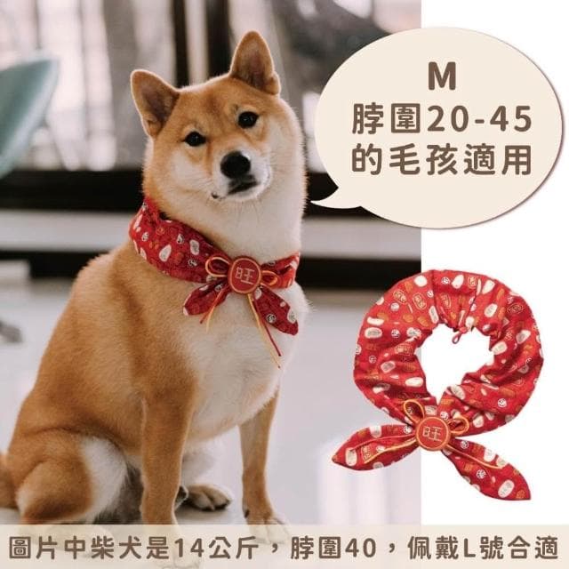 現貨|寵物 狗狗 貓貓 毛孩 領巾 可愛 新年 過年 生日 抓周 婚禮 節慶 喜氣 喜慶 裝飾 |GoGraphy