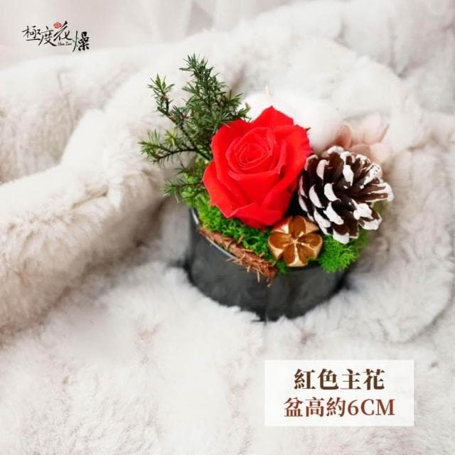 屬於你的 聖誕 小桌花 禮物 極度花燥 花禮 永生花 乾燥花 不凋花 桌花 畢業季 畢業 七夕 情人節