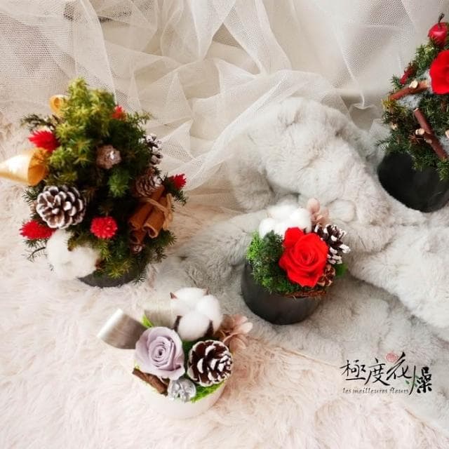 屬於你的 聖誕 小桌花 禮物 極度花燥 花禮 永生花 乾燥花 不凋花 桌花 畢業季 畢業 七夕 情人節