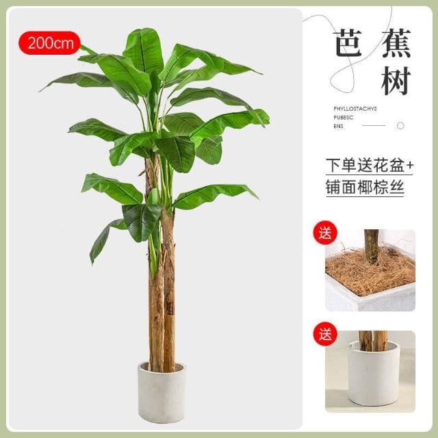 【未晚家居館】 仿真綠植芭蕉樹室內裝飾大型落地式盆栽擺件客廳高檔ins風假植物