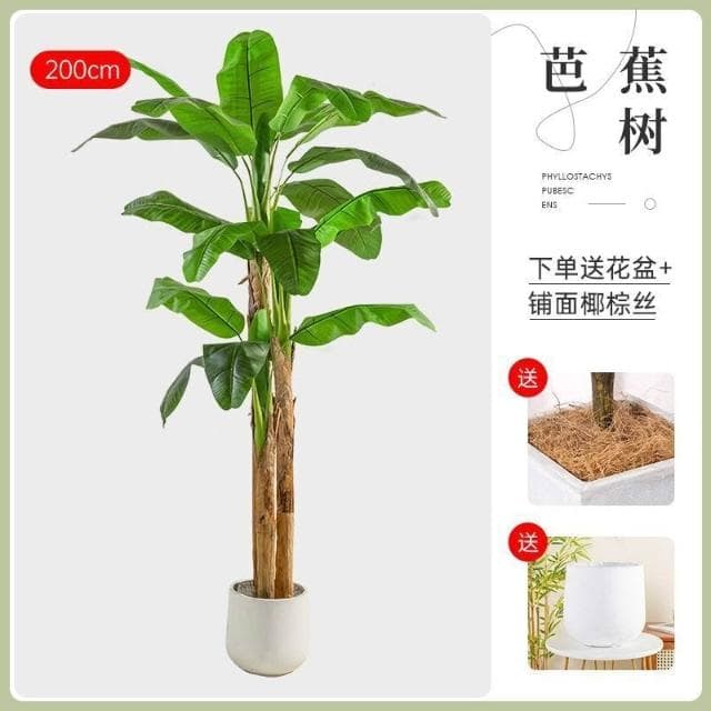 【未晚家居館】 仿真綠植芭蕉樹室內裝飾大型落地式盆栽擺件客廳高檔ins風假植物