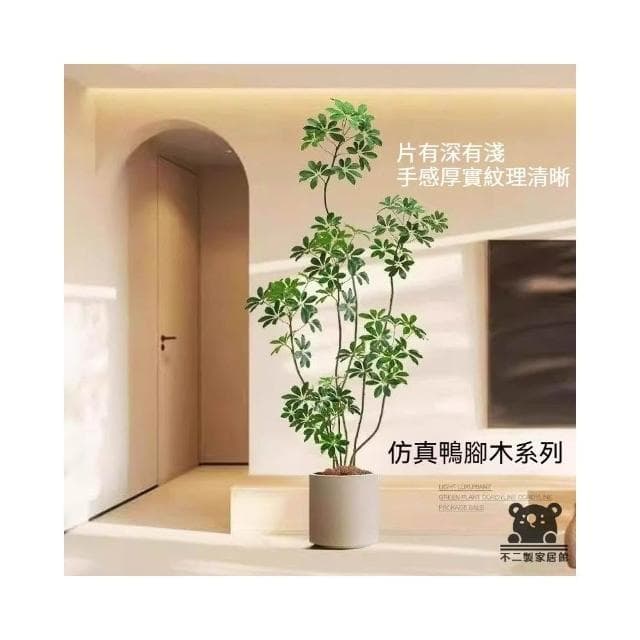 仿真綠植鴨腳木  仿真樹 仿生植物 高端輕奢擺件 盆栽擺件 簡約現代擺件 大型室內落地擺件