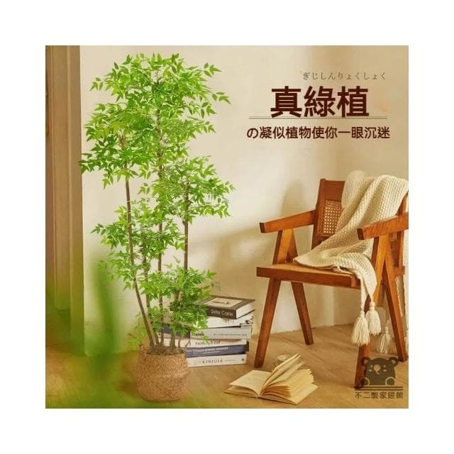 仿真植物 南天竹 落地盆栽 室內 仿生綠植 擺件 裝飾花假樹 塑料花 假花 裝飾花 仿真盆栽