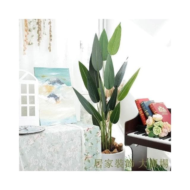 樹 龜背葉 琴葉榕 大型北歐ins風旅人蕉天堂鳥客廳落地假盆栽景植物擺件樹