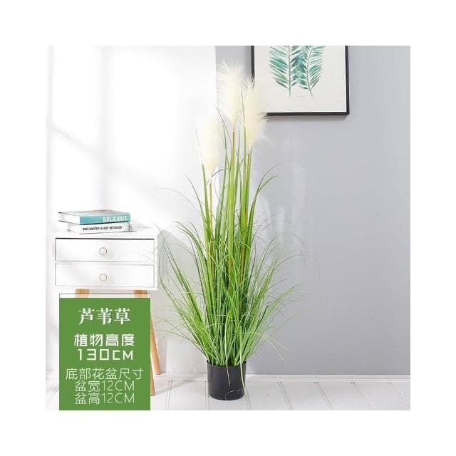 樹 龜背葉 琴葉榕 大型北歐ins風旅人蕉天堂鳥客廳落地假盆栽景植物擺件樹