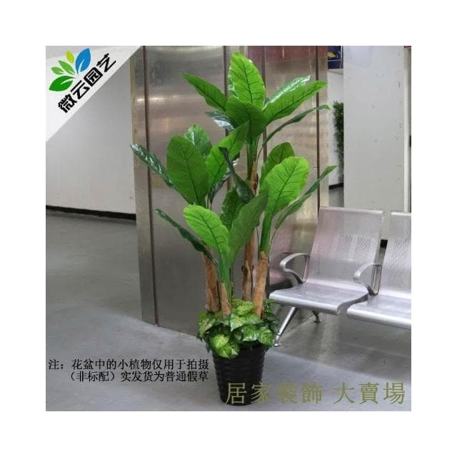 仿真綠植  龜背葉 琴葉榕 芭蕉樹仿真植物盆栽客廳假樹塑料大型裝飾椰子綠植仿真樹落地盆景