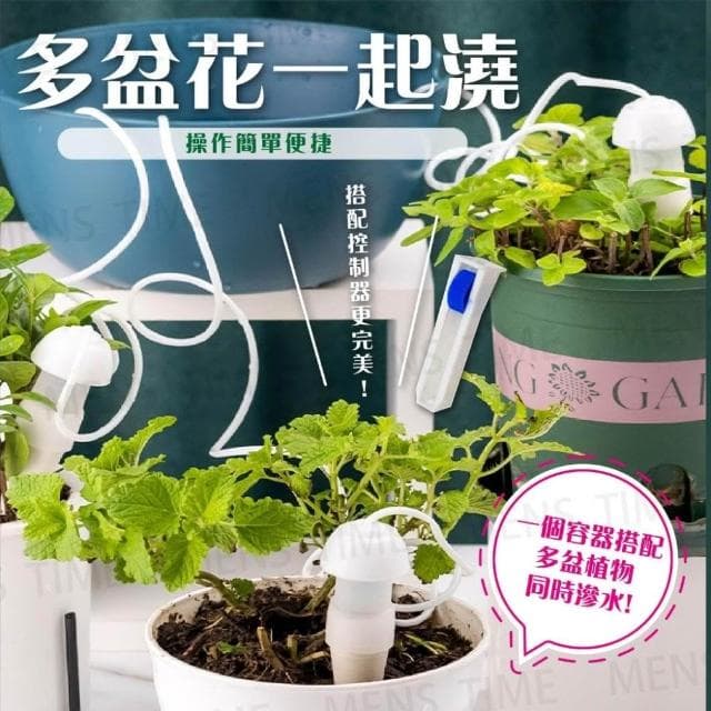 台灣現貨 ️一盆水可自動澆灌多盆植物 自動澆水器 自動澆水 懶人盆栽 澆花 澆水 澆花器 澆水器 日式滲水器
