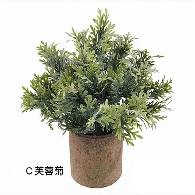 【Warm House Decor 暖和家居】北歐綠化仿真植物 (小盆栽 桌面小盆栽 假植物 盆栽 辦公室綠化 仿真植物)
