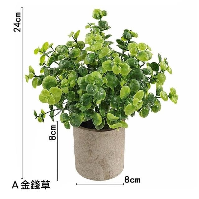 【Warm House Decor 暖和家居】北歐綠化仿真植物 (小盆栽 桌面小盆栽 假植物 盆栽 辦公室綠化 仿真植物)