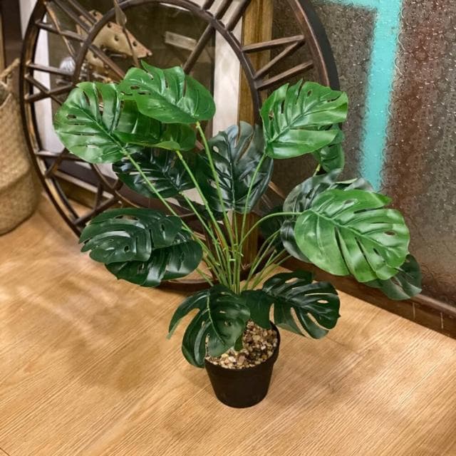 龜背葉 仿真植物 假盆栽 龜背芋 室內植物 花 植物 植栽 假植物 人造植物 GXS拍照道具(仿真植物 假盆栽)