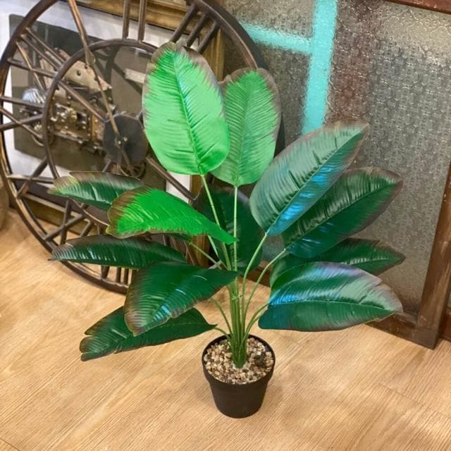 龜背葉 仿真植物 假盆栽 龜背芋 室內植物 花 植物 植栽 假植物 人造植物 GXS拍照道具(仿真植物 假盆栽)