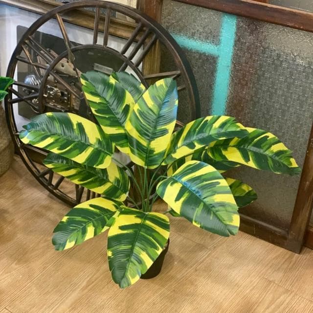 龜背葉 仿真植物 假盆栽 龜背芋 室內植物 花 植物 植栽 假植物 人造植物 GXS拍照道具(仿真植物 假盆栽)