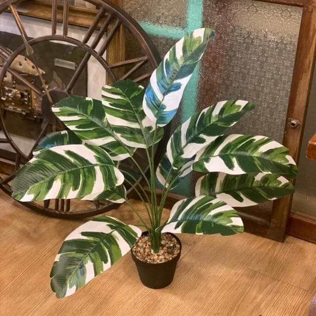 龜背葉 仿真植物 假盆栽 龜背芋 室內植物 花 植物 植栽 假植物 人造植物 GXS拍照道具(仿真植物 假盆栽)