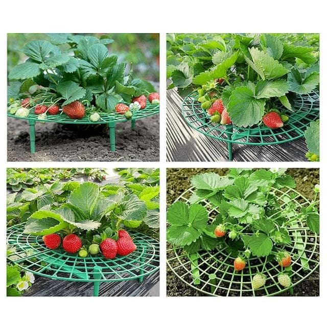 草莓花架 園藝花架 花盆花架 花卉花架 植物栽培架 種菜托盤架 草莓托盤架 盆栽托盤架 草莓支撐架園藝花架