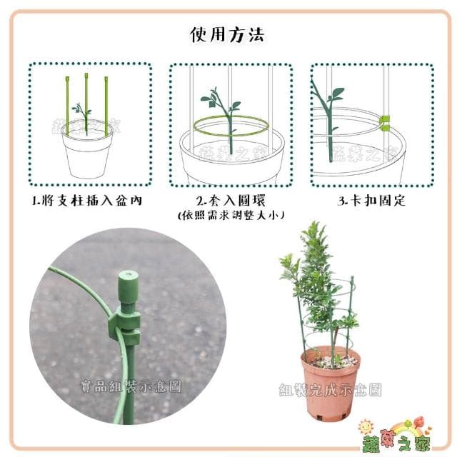 【蔬菜之家】攀藤架盆栽支架環爬藤架120公分瓜架、植物架、支架