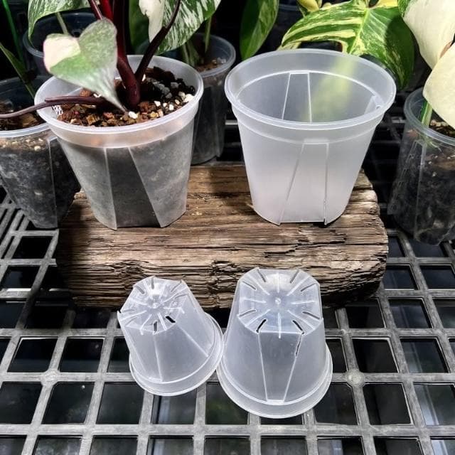 《斑啾植選》青山盆|4吋盆二入(觀葉植物專用盆|斑葉|合果芋|龜背芋|觀音蓮|室內植物|盆栽)