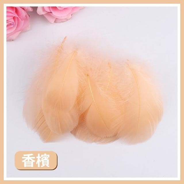 12H快速出貨 (氣球快易送)  約100根 羽毛 透明波波球 告白氣球 透明氣球 波波球 網美打卡 慶生 生日禮物 派對小物