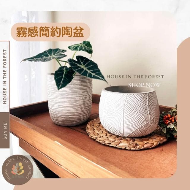 水泥盆 大口徑花盆 綠植 種植 盆栽 園藝植物 器皿 圓形 育苗花盆