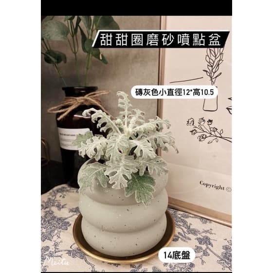 陶盆 米其林甜甜圈噴點盆 觀葉植物 水泥盆 盆器 盆栽 陶器 植栽 簡約盆 多肉盆