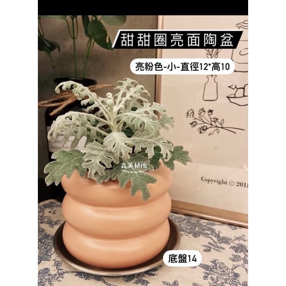 陶盆 米其林甜甜圈噴點盆 觀葉植物 水泥盆 盆器 盆栽 陶器 植栽 簡約盆 多肉盆