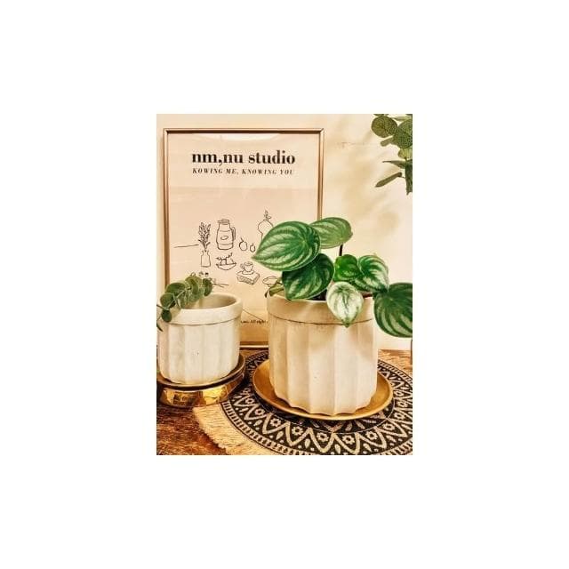 陶盆 米其林甜甜圈噴點盆 觀葉植物 水泥盆 盆器 盆栽 陶器 植栽 簡約盆 多肉盆