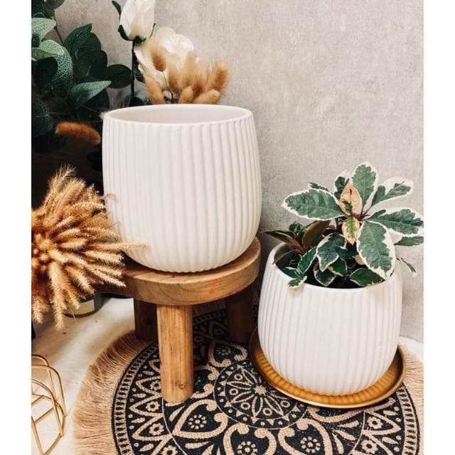 水泥盆 斑駁線條盆 立體線條盆 綠植 種植 盆栽 園藝植物 器皿