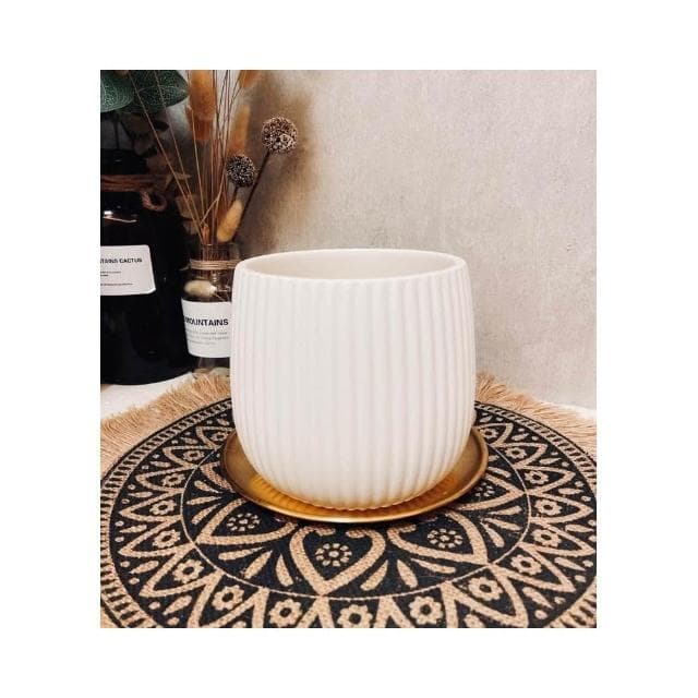 水泥盆 斑駁線條盆 立體線條盆 綠植 種植 盆栽 園藝植物 器皿