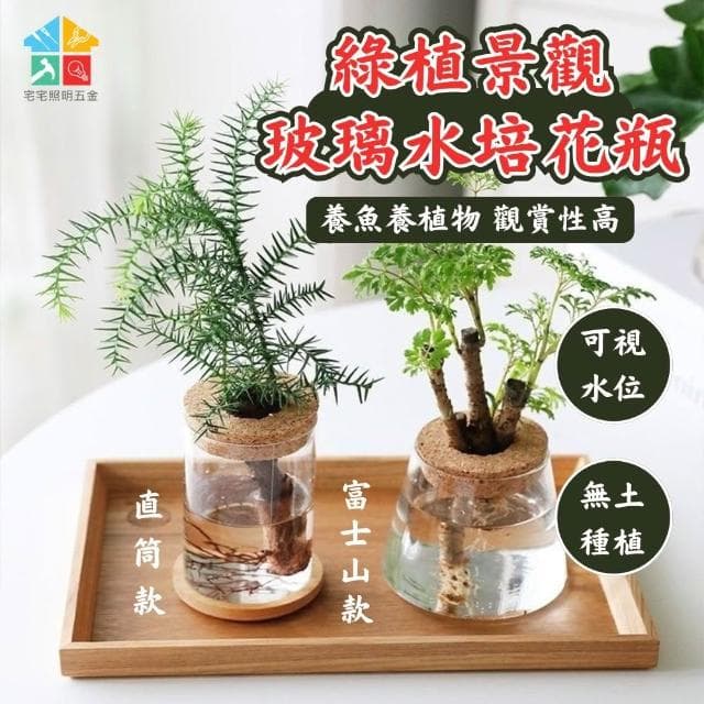 【含軟木塞】玻璃水培造型花盆 水耕植物盆 懶人花盆 水培盆 可養魚 水耕 觀賞盆栽 多肉植物 懶人盆栽