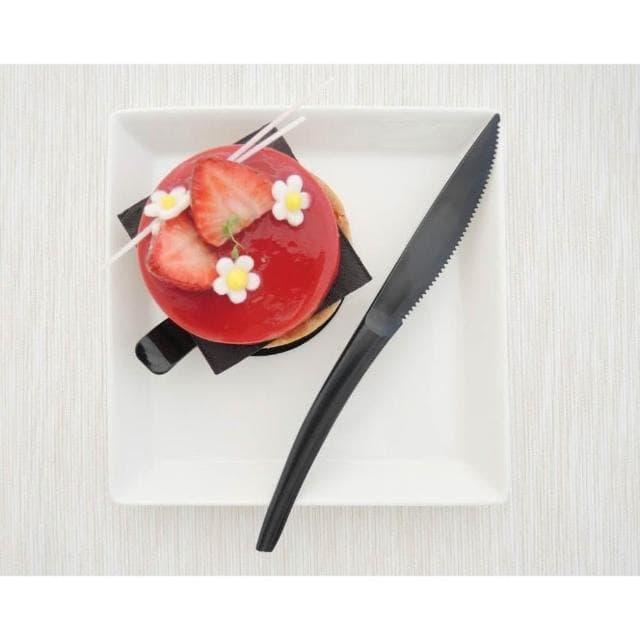 嚴選SHOP 10入 19cm PS高強度蛋糕刀 蛋糕刀 塑膠刀 彌月刀 瑞士捲刀 長條蛋糕刀 甜點刀 W012