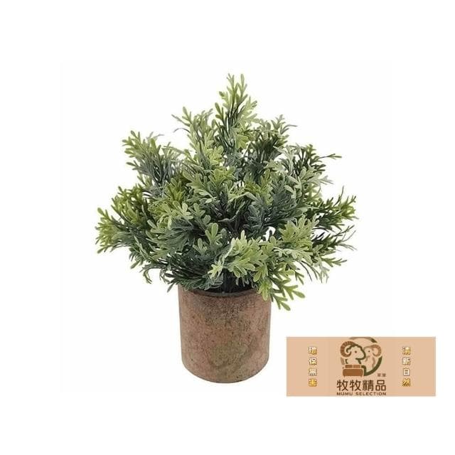 免運 現貨 北歐綠化盆栽 仿真植物 小盆栽 盆栽 辦公室盆栽 桌面小盆栽 室內盆栽 植物擺飾 綠化植物 植物