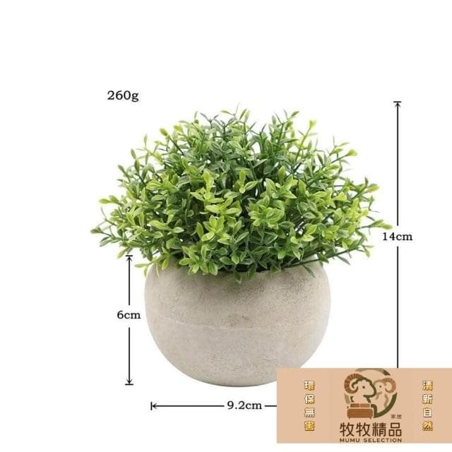 免運 現貨 北歐綠化盆栽 仿真植物 小盆栽 盆栽 辦公室盆栽 桌面小盆栽 室內盆栽 植物擺飾 綠化植物 植物