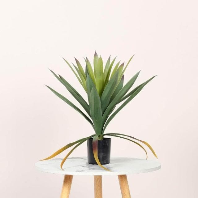 合枋傢俱 仿真龍舌蘭盆栽 大型仿真綠植室內落地裝飾擺件 仿生熱帶植物造景