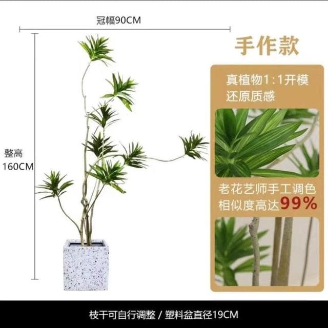 仿真綠植百閤竹大型北歐室內客廳櫥窗網紅造型假植物造景盆栽擺件居傢裝飾 仿真植物 人造樹 假樹 假植物