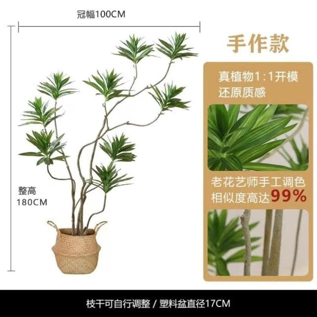 仿真綠植百閤竹大型北歐室內客廳櫥窗網紅造型假植物造景盆栽擺件居傢裝飾 仿真植物 人造樹 假樹 假植物