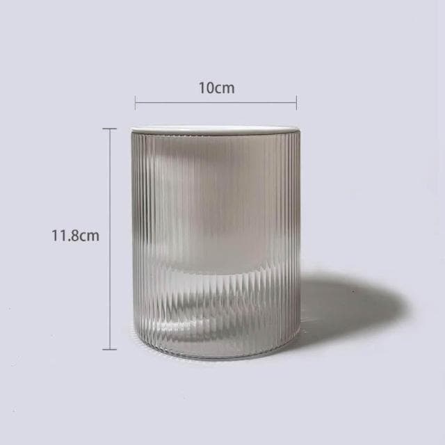 原植|植物盆栽|西瓜皮椒草·觀葉植物·室內植物·網紅植物·療癒植物·雨林植物