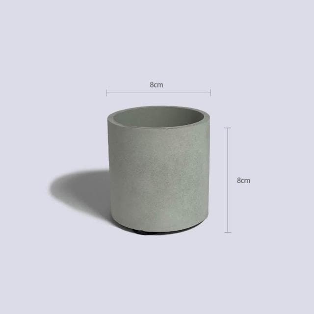 原植|植物|馬拉巴栗·發財樹·淨化空氣·免澆水盆栽·招財樹·美國花生·送禮招財·開幕禮·落成禮·新年花禮