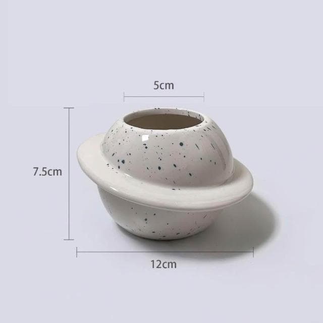 原植|植物|文竹·辦公室植物·淨化空氣·觀葉植物·氣質高雅·室內植物·風水植栽·3寸·5寸