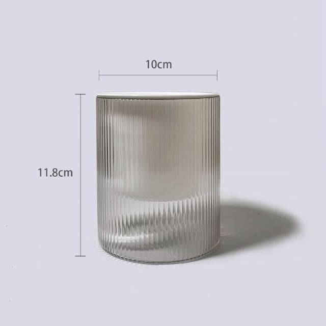 原植|植物|細葉卷柏·耐陰植物·室內植物·療癒盆栽·熱帶雨林·觀葉植物·浴室植物