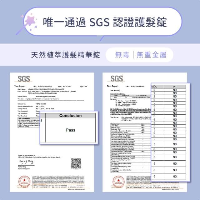 【DIKE】DIKE HBF210吹風機專用植萃香氛護髮精華錠3入 HBF210-P