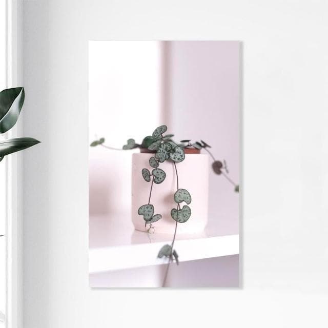 【Noname】植物一隅 植物畫 壁畫 板畫 背景畫 台灣工廠 北歐畫 掛畫 裝飾 畫 簡約 清新 掛布 文青 抽象畫 複製畫