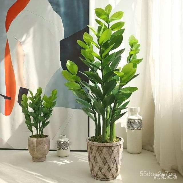 🔥免運下殺🔥仿真綠植法蘭克福風情 仿真髮財樹盆栽 假植物金錢樹室內客廳高檔綠植裝飾假樹 仿真植物假盆栽擺飾假花裝飾