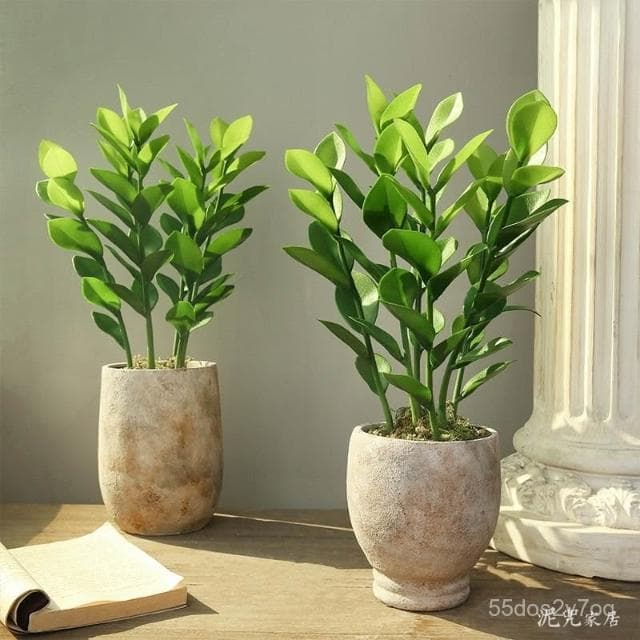 🔥免運下殺🔥仿真綠植法蘭克福風情 仿真髮財樹盆栽 假植物金錢樹室內客廳高檔綠植裝飾假樹 仿真植物假盆栽擺飾假花裝飾