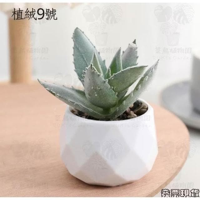 沐晨植物園|仿真植物 仿真多肉 盆栽裝飾 小盆栽假植物 假盆栽 辦公室盆栽 迷你盆栽 仿真盆栽 仿真植物盆栽 居家裝飾