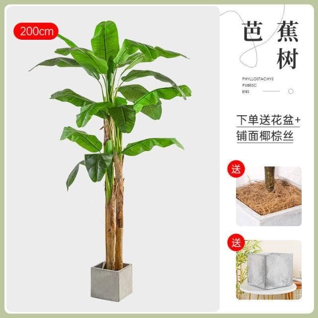 【未晚家居館】 仿真綠植芭蕉樹室內裝飾大型落地式盆栽擺件客廳高檔ins風假植物