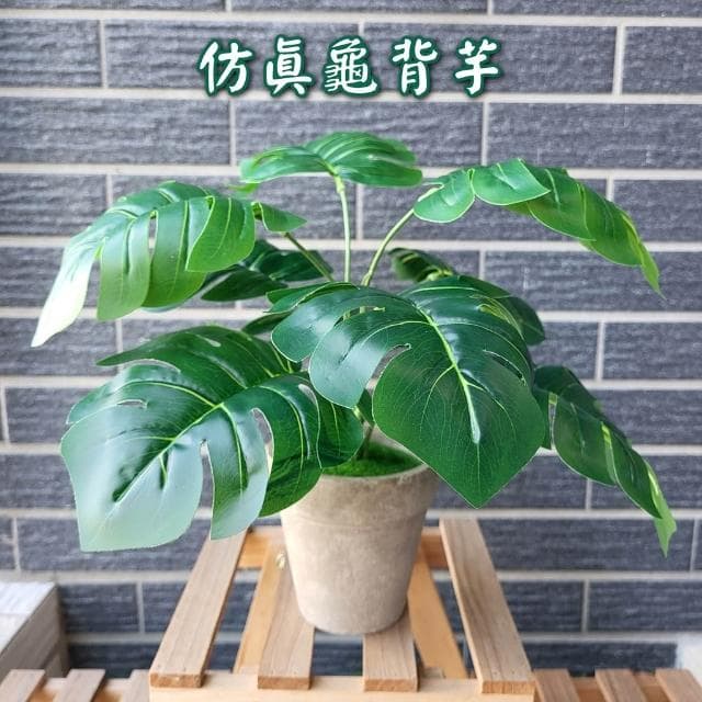 仿真植物 龜背芋 仿真盆栽 室內盆栽 室內植物 假植物 龜背葉 人造植物 仿真花盆栽 中